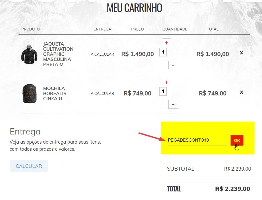 usando um código de cupom de desconto no site The North Face