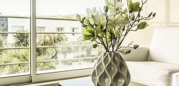 Em casa ou no apartamento: conheça 14 plantas fáceis de cuidar e saiba onde comprar online - plantas fáceis de cuidar Guias plantas faceis de cuidar capa