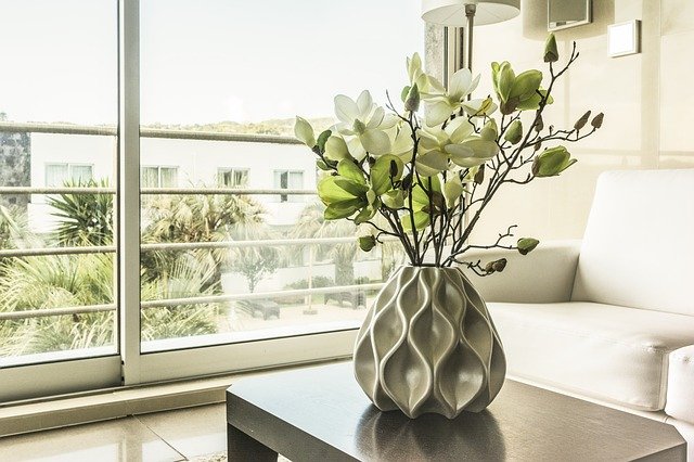 Em casa ou no apartamento: conheça 14 plantas fáceis de cuidar e saiba onde comprar online - melhores rações para gatos Guias plantas faceis de cuidar capa