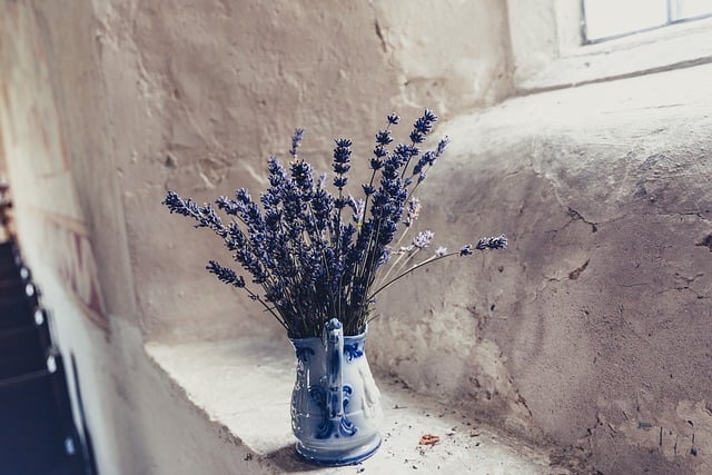 A lavanda é uma das plantas fáceis de cuidar para se ter no quarto