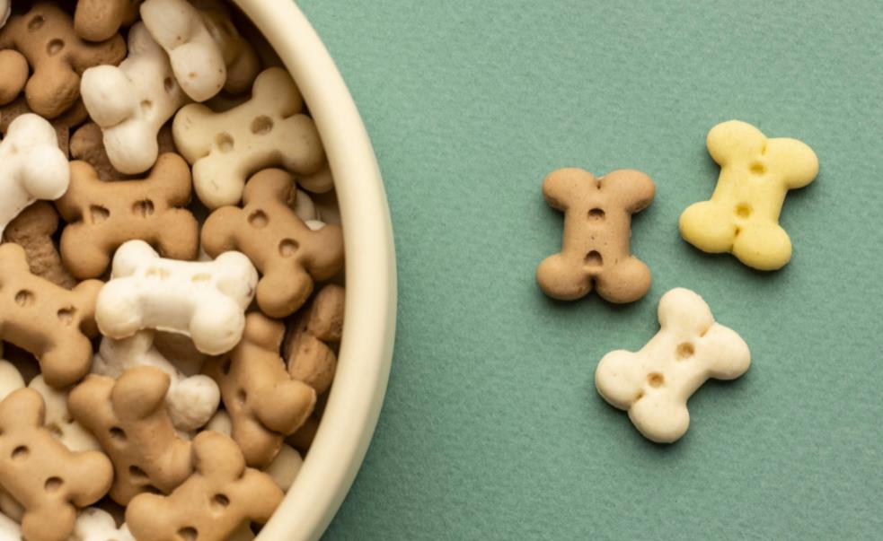 Melhores sites para comprar ração de cachorro ou gato com desconto - Olist Tiny Dicas para economizar pote de racao