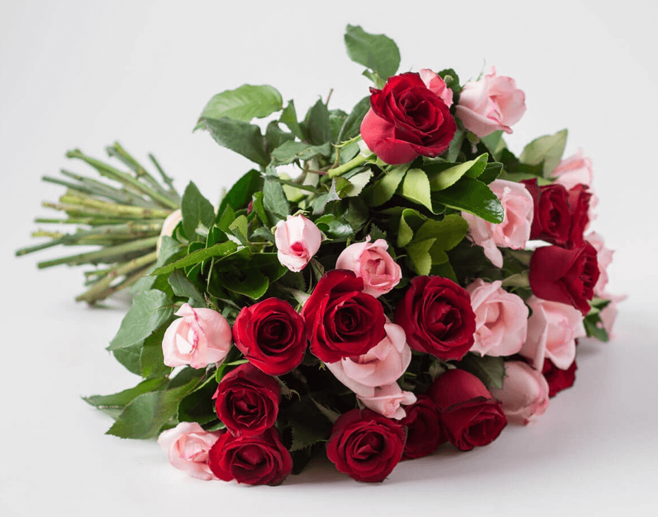 Cupom 15% OFF em Buquê de Rosas para Dia da Mulher - buques dia da mulher