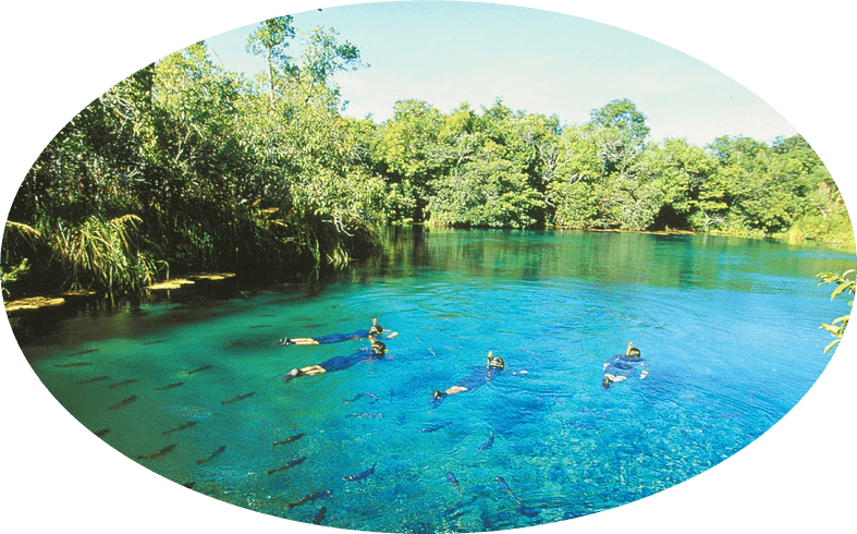 foto de Bonito Brasil